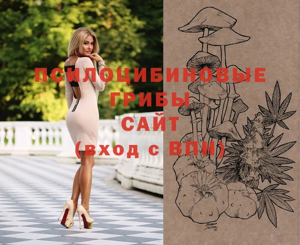 spice Лиски