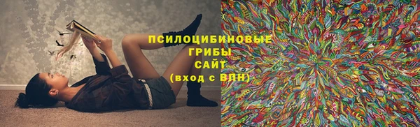 крисы Липки